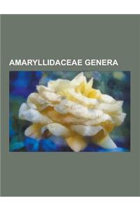 Amaryllidaceae Genera