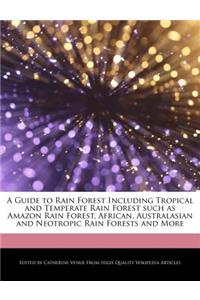 A Guide to Rain Forest Including Tropical and Temperate Rain Forest Such as Amazon Rain Forest, African, Australasian and Neotropic Rain Forests and More