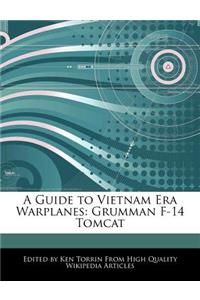 A Guide to Vietnam Era Warplanes: Grumman F-14 Tomcat