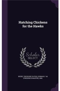 Hatching Chickens for the Hawks