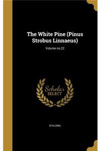 The White Pine (Pinus Strobus Linnaeus); Volume no.22