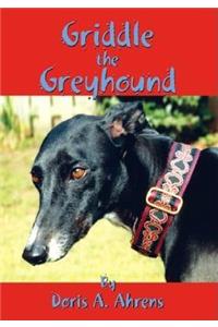Griddle the Greyhound