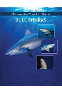 Bull Sharks