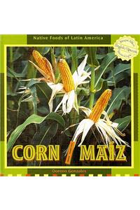 Corn / Maíz