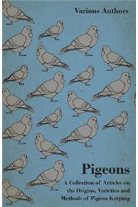 Pigeons - A Collection of Articles on the Origins, Varieties and Methods of Pigeon Keeping