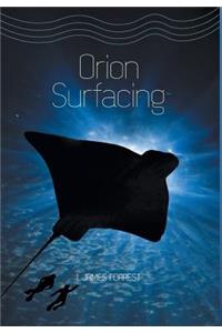 Orion Surfacing