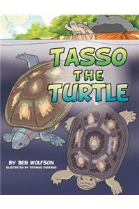 Tasso the Turtle