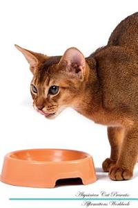 Abyssinian Cat Affirmations Workbook Abyssinian Cat Presents