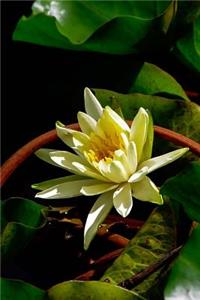 Water Lily Flower Journal