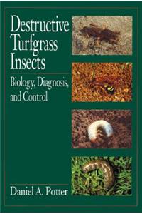 Destructive Turfgrass Insects