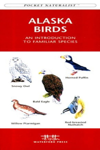 Rocky Mountain Birds