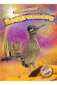 Roadrunners