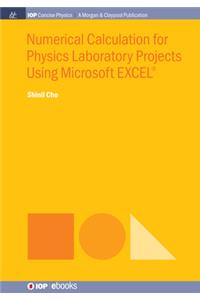 Numerical Calculation for Physics Laboratory Projects Using Microsoft EXCEL(R)