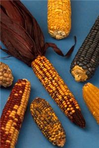 2020 Daily Planner Colorful Corn Cob Ears 388 Pages