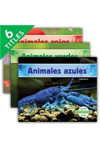 Animales de Colores (Animal Colors) (Set)