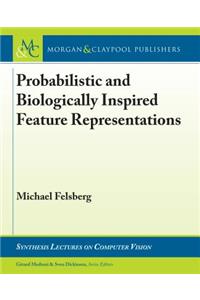 Probabilistic and Biologically Inspired Feature Representations