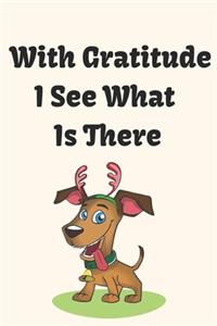 With Gratitude I See