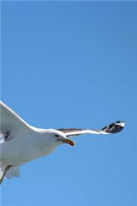 Seagull Notebook