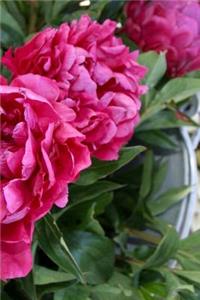 2019 Daily Planner Flowers Pretty Red Peonies 384 Pages