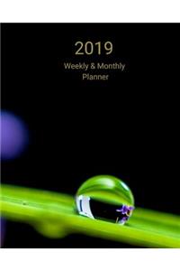 2019 Weekly and Monthly Planner