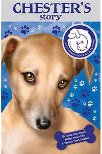 Battersea Dogs Home: Chester's Story