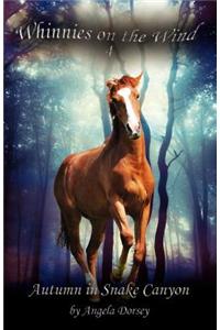 Autumn in Snake Canyon