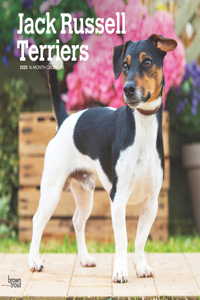 Jack Russell Terriers 2025 Square Wrap