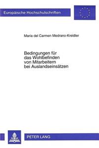 Bedingungen fuer das Wohlbefinden von Mitarbeitern bei Auslandseinsaetzen