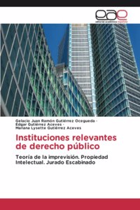 Instituciones relevantes de derecho público