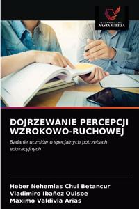 Dojrzewanie Percepcji Wzrokowo-Ruchowej