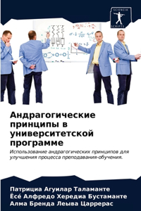 Андрагогические принципы в университетс&