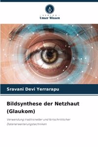 Bildsynthese der Netzhaut (Glaukom)