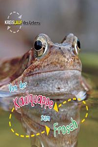 Von der Kaulquappe zum Frosch (Kreislauf des Lebens) (German Edition)