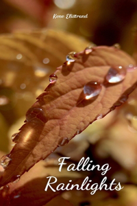 Falling Rainlights
