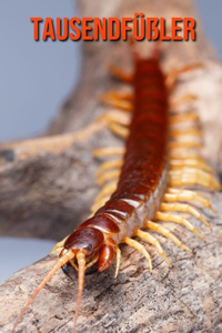 Tausendfüßler