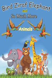 Bird Ziraf Elephant And So Much More Animals