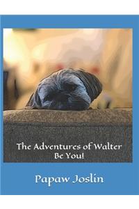 Adventures of Walter - Be You!