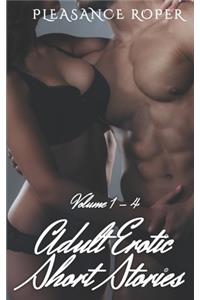 Adult Erotic Short Stories