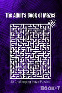 The Adult's Book Of Mazes
