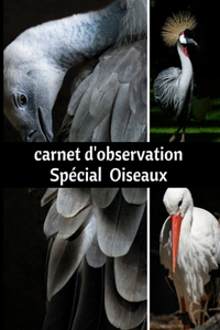 Carnet d'observation Spécial Oiseaux