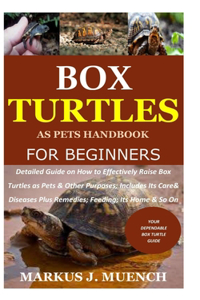 Box Turtles as Pets Handbook for Beginners