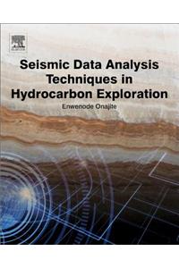 Seismic Data Analysis Techniques in Hydrocarbon Exploration