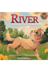 River the Three Legged Dog