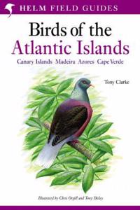 A Field Guide to the Birds of the Atlantic Islands