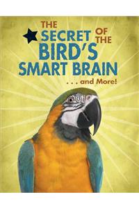 The Secret of the Bird's Smart Brain... and More!