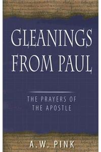 Gleanings from Paul