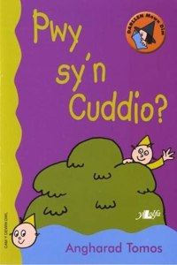 Cyfres Darllen Mewn Dim - Cam y Dewin Dwl: Pwy Sy'n Cuddio?