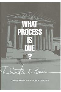 What Process Is Due?: Courts and Science-Policy Disputes