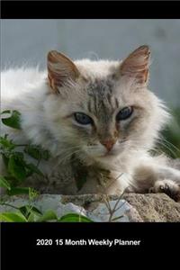 Plan On It 2020 Weekly Calendar Planner - Hung Over Cat - Way To Much Cat Nip Last Night