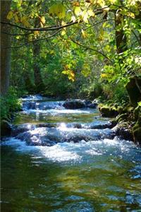 Waterfall notebook - achieve your goals, perfect 120 lined pages #1
